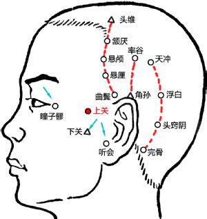 客主人 位置|上關穴位置 